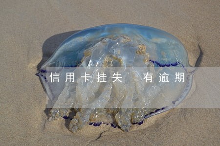 信用卡挂失 有逾期 信用卡挂失 有逾期